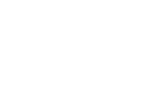 Artisan